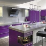 Purple kitchen with integrated appliances