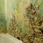 Bathroom decor inlaid with sea shells