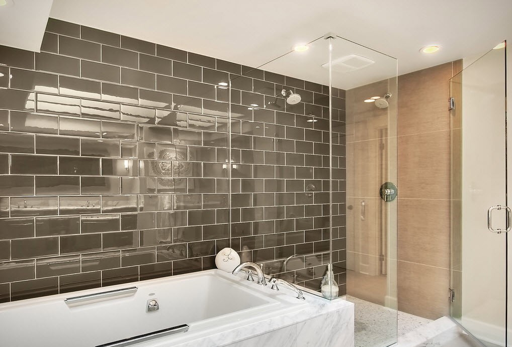 dizains skaistas flīzes vannas istabai