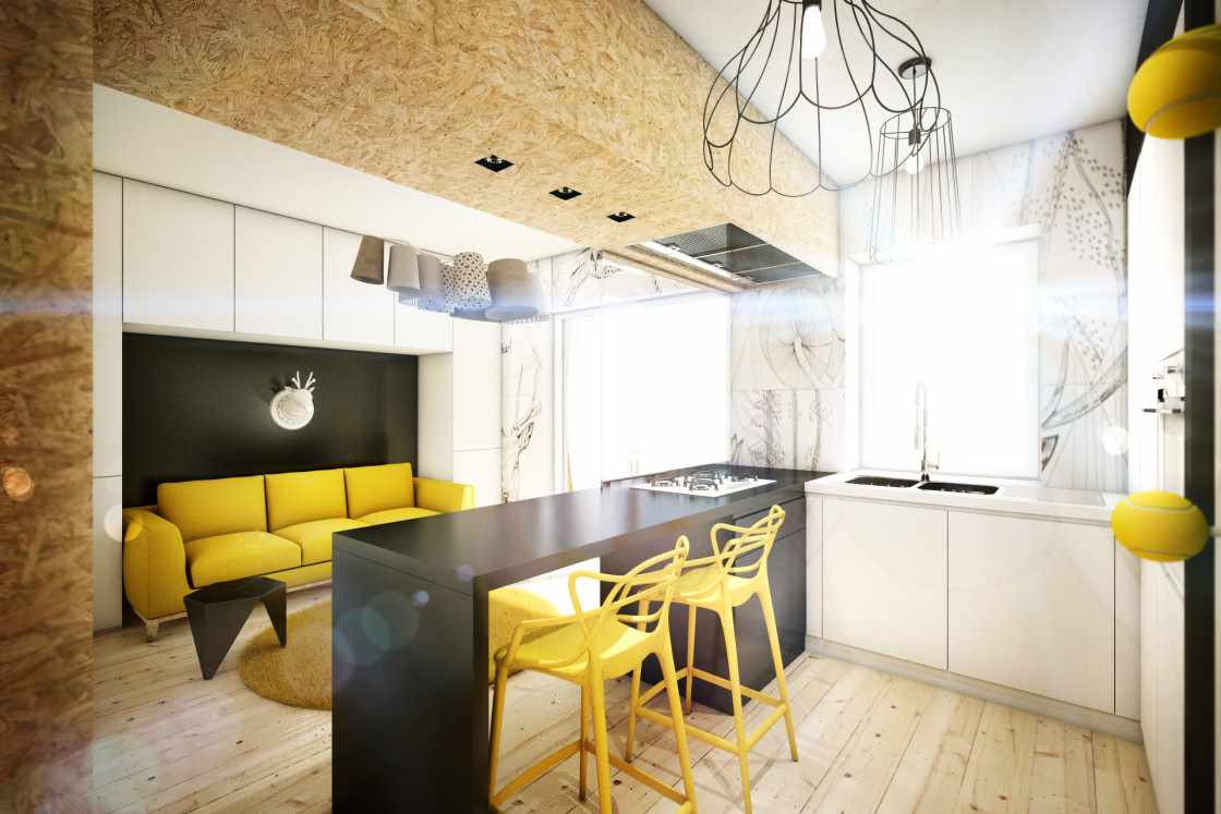 Satu contoh hiasan dapur ruang tamu yang cantik 16 sq.m