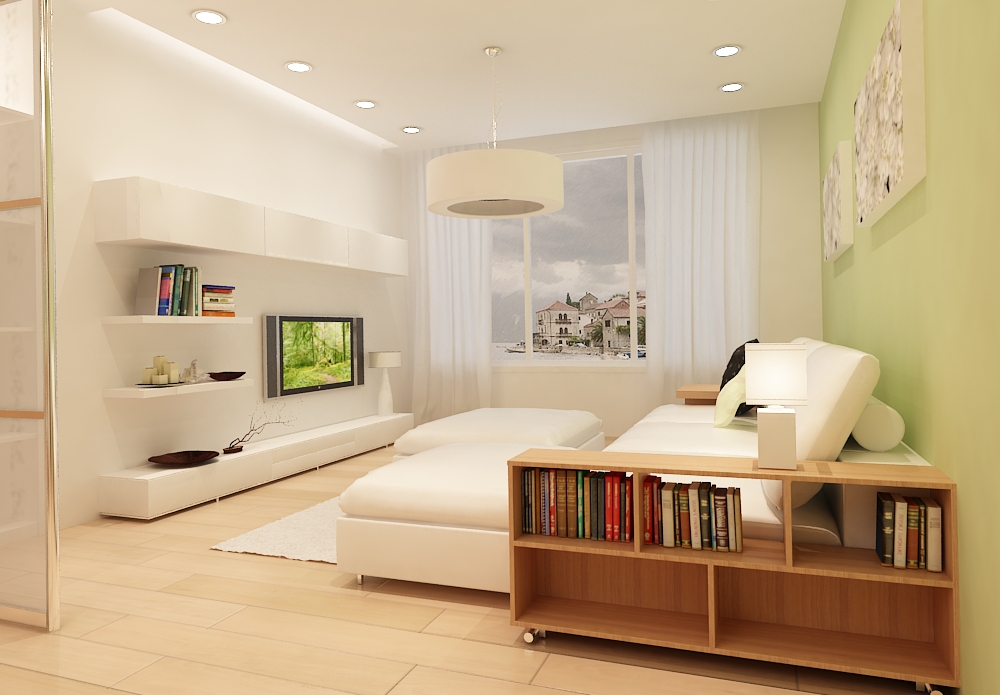 Luminoso soggiorno-camera da letto in stile minimalista