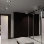 Design spatios al holului de intrare cu dulap cu oglinzi
