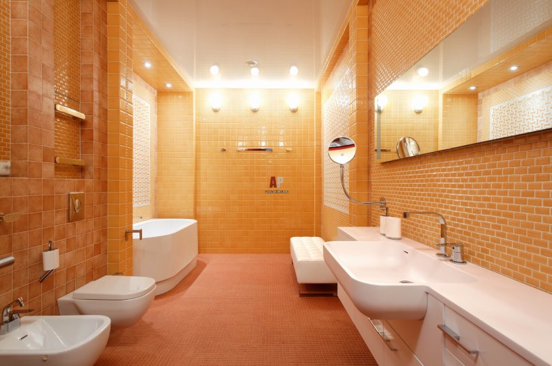 Elongated bathroom with orange toilet