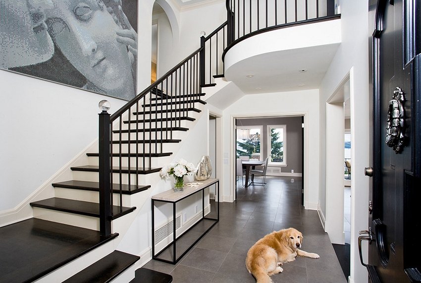 Iso koira käytävän lattialla portaiden kanssa
