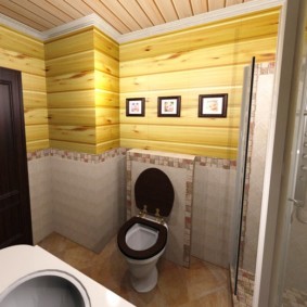 Tmavě hnědé dveře v koupelně soukromého domu