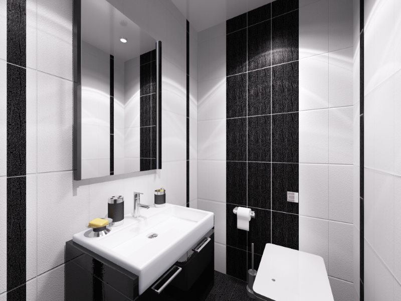 Interior blanco y negro de un baño pequeño