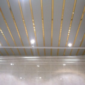 Panells de bastidors amb decoració daurada
