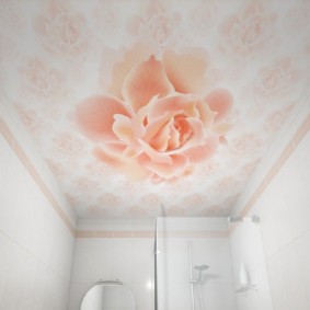 Hermosa rosa en el techo en el baño.