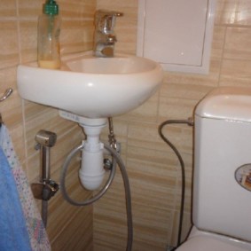 Porcelain sink with open siphon