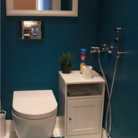 Toalettdesign med blå väggar