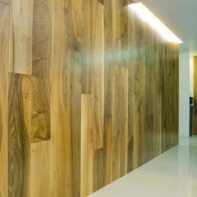 laminate on the wall in the hallway interior photo
