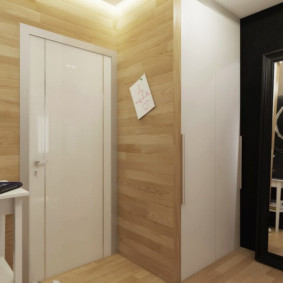 laminate on the wall in the hallway interior