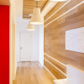 laminate on the wall in the hallway kinds of ideas