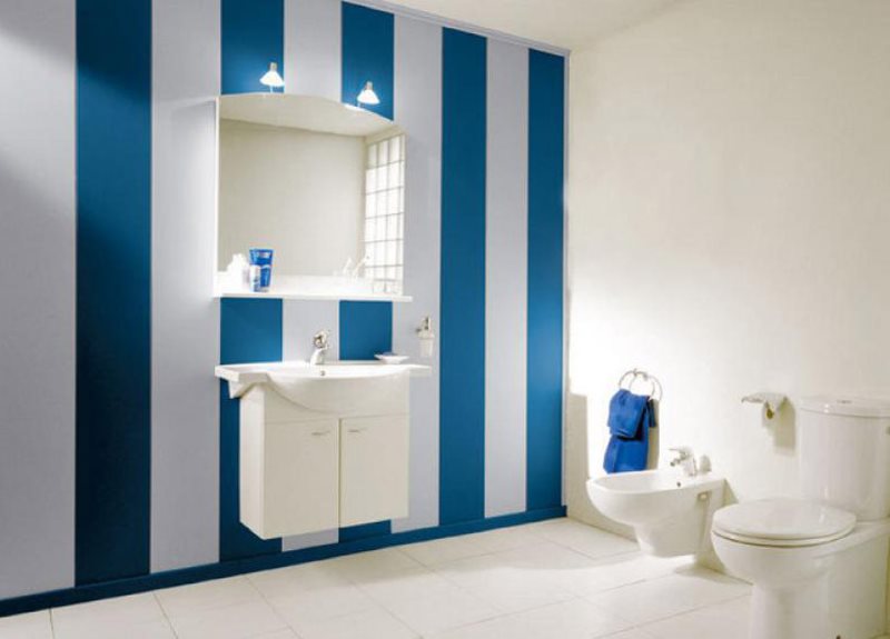 La alternancia de paneles de plástico azul y blanco en el interior del baño.