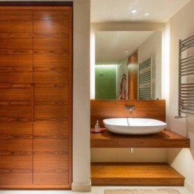 Design of a bathroom with wood paneling