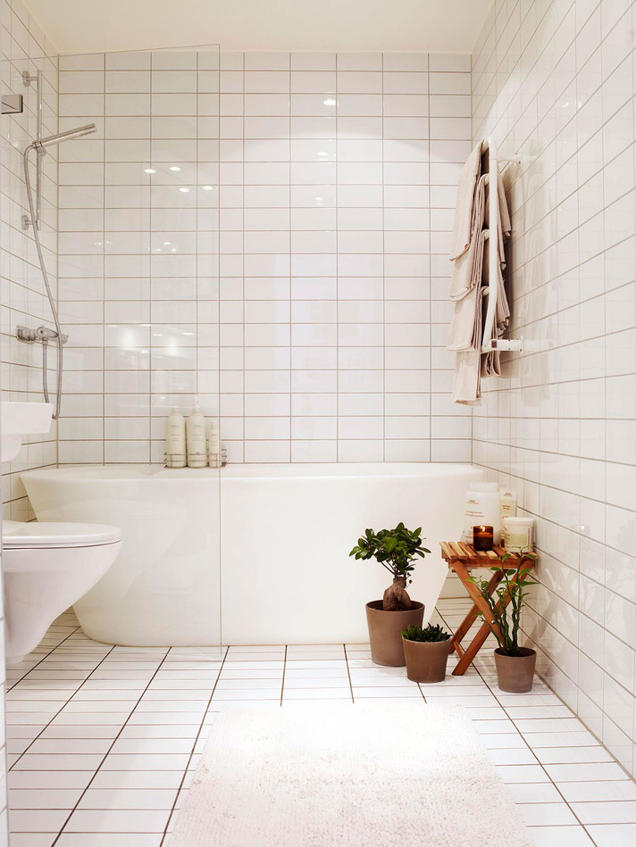 Biela dlaždica na stene kúpeľne s izbovými rastlinami v interiéri