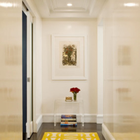 long corridor in the apartment photo ideas