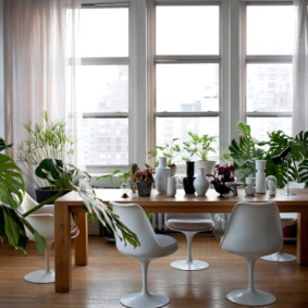 øko-stil i leilighetens interiørfoto