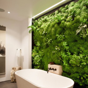 ý tưởng nội thất căn hộ phong cách sinh thái