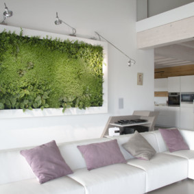 øko-stil leilighet dekorasjon foto