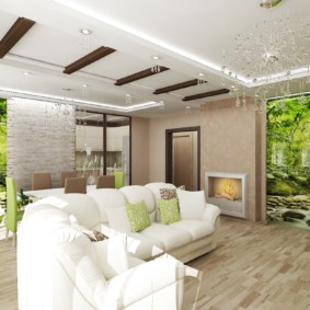 eko stils dzīvoklī veidu idejas