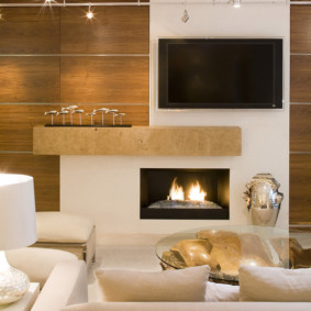 Mga electric fireplace sa isang maliit na sala ng isang apartment ng lungsod