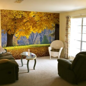 papel tapiz fotográfico en la sala de estar opciones fotográficas