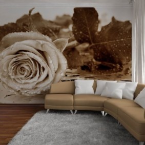 Papel de parede fotográfico no design da foto da sala de estar