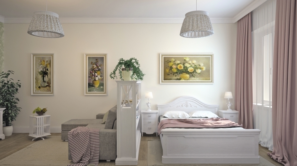 soggiorno e camera da letto in una foto di design della camera
