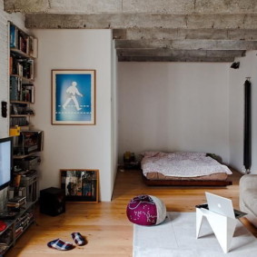 soggiorno e camera da letto in una stanza vista idee