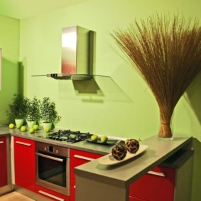 virtuves krāsu dizaina idejas