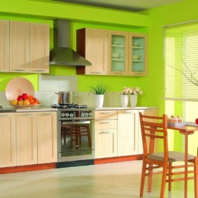 krāsa virtuves ideju attēliem