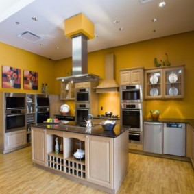 virtuves krāsu foto iespējas