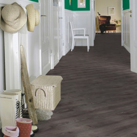laminate flooring in the hallway ideas options