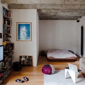 loft i en liten leilighet typer dekor