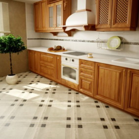 floor tiles for the kitchen and corridor photo species