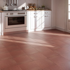 floor tiles for kitchen and hallway interior