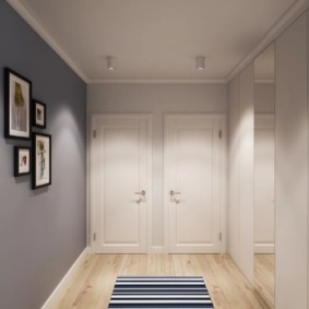 gray entrance hallway photo ideas