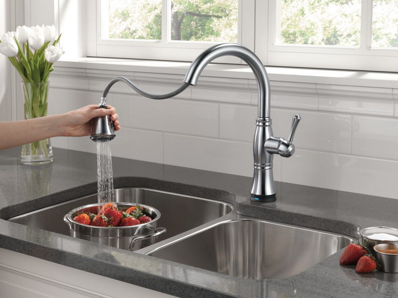 kitchen faucet gander choice