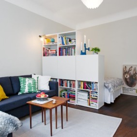 nappali és hálószoba egy szobában tervezési ötletek