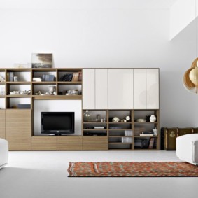 minimalism living room photo options