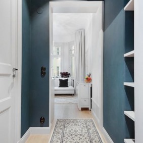 narrow corridor in apartment interior ideas