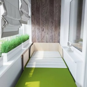 Növekvő zöldek konténerekben az erkélyen