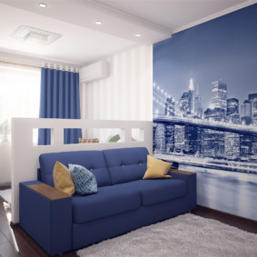 Foto di design della camera da letto del soggiorno di 20 mq