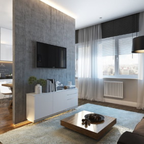 Gray partition in a studio apartment