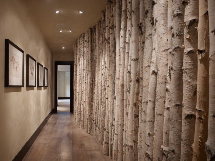 Trunks of trees in the interior of a narrow hallway