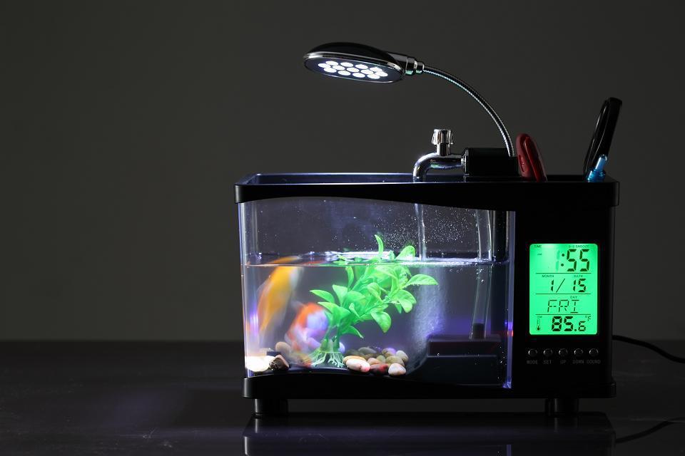 aquarium horloge