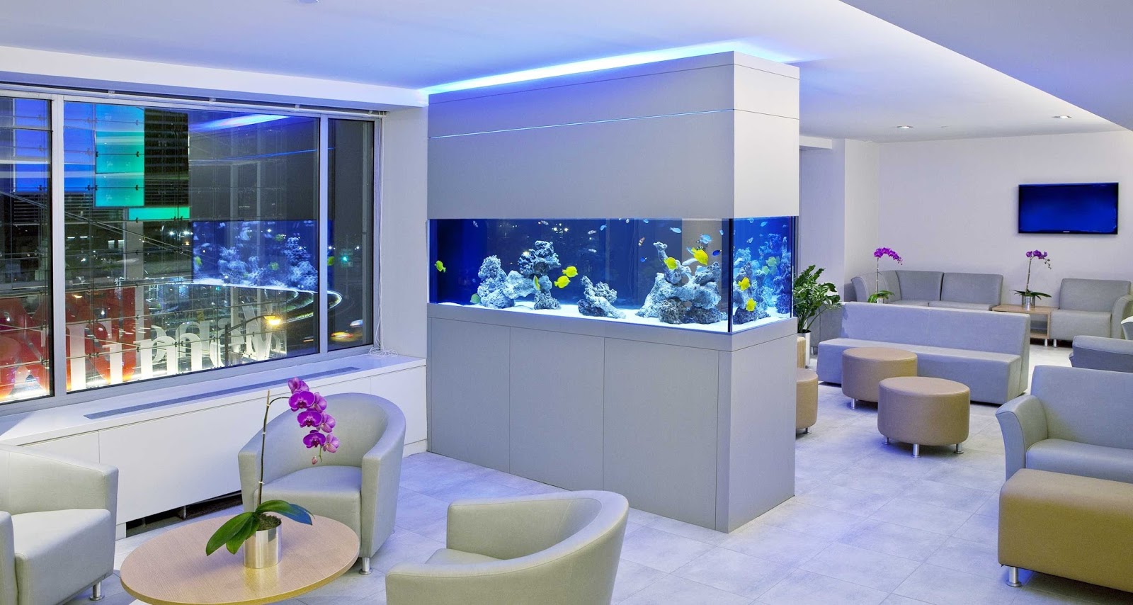 aquarium partitie