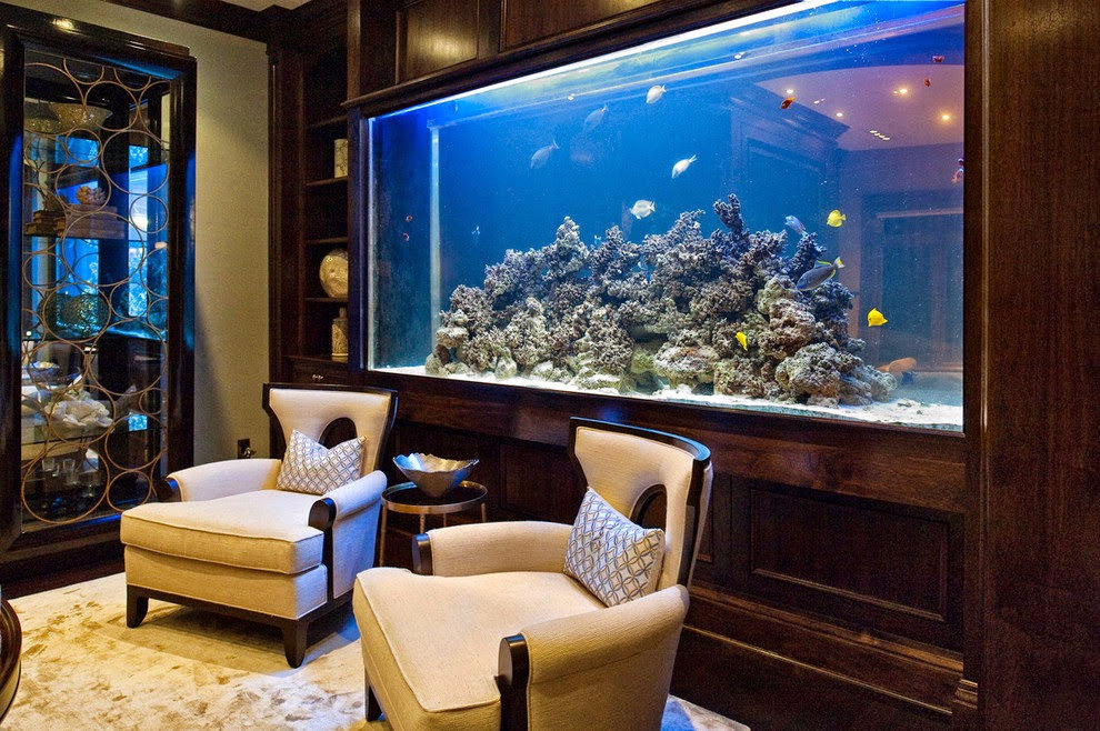 modern aquarium