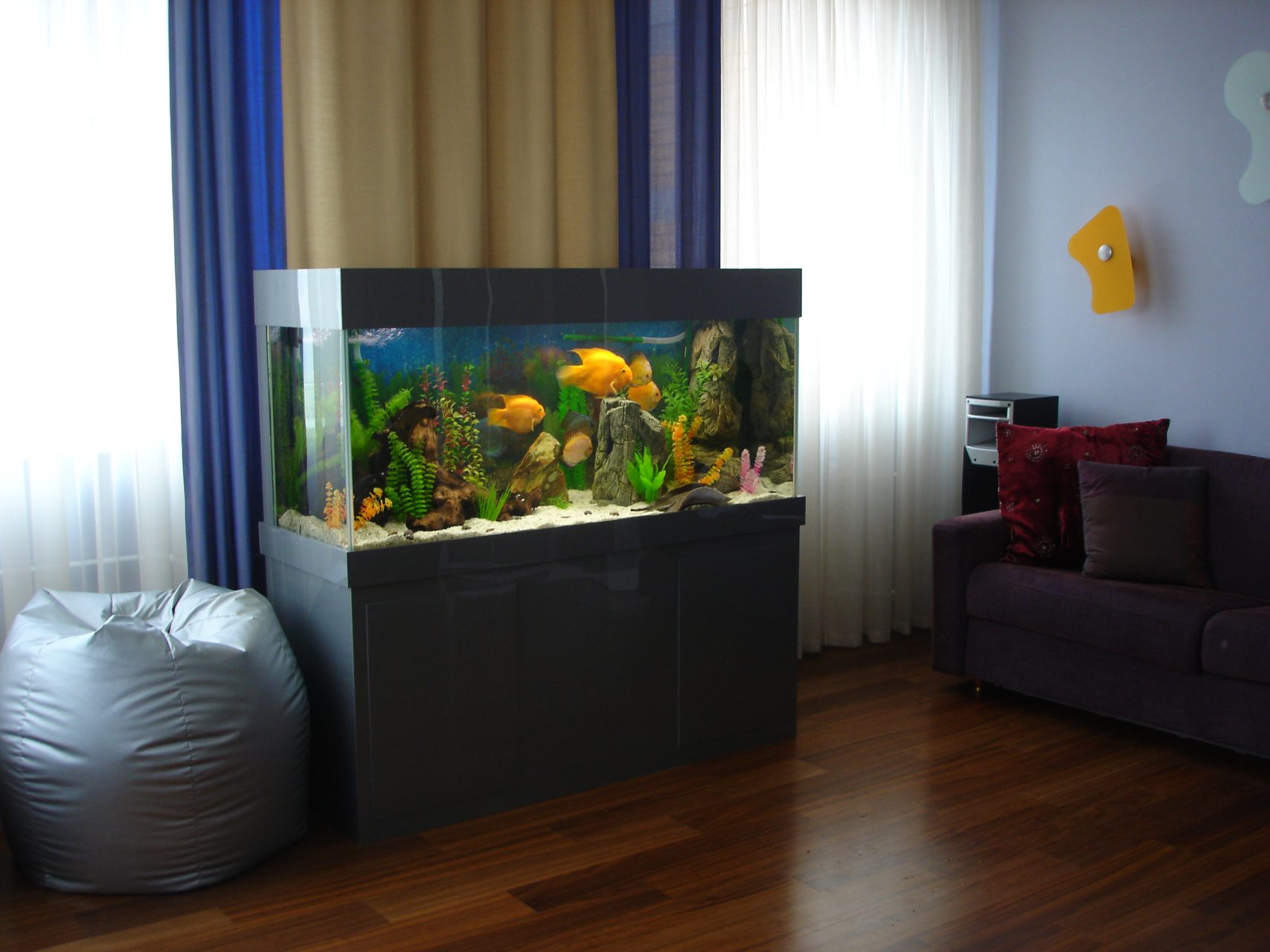 aquarium in het interieur